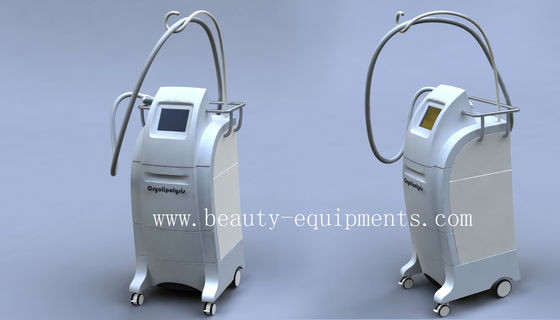 2012 Popular Freezing Fat Slimming Equipment